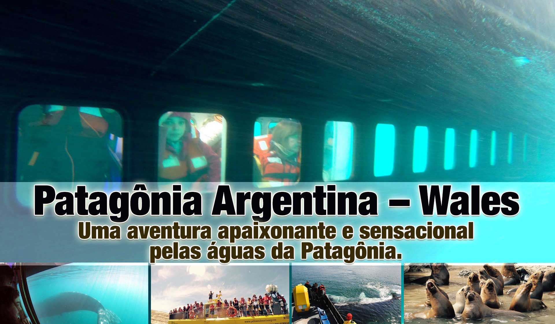Argentina - Baleias