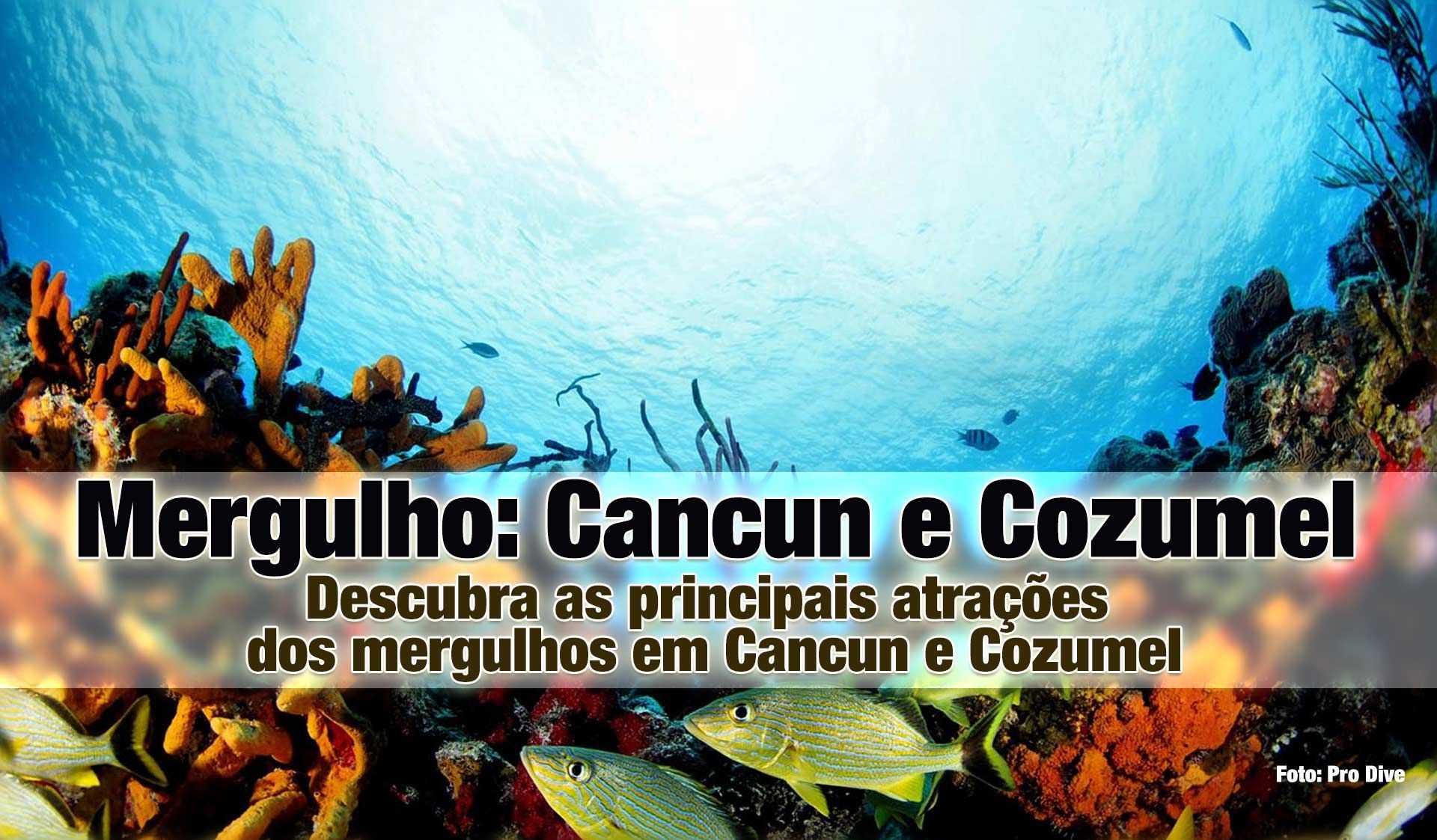 Mergulho Cancun e Cozumel